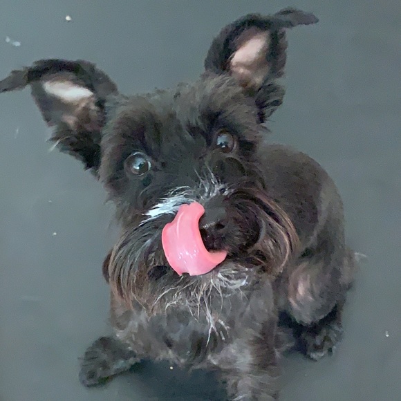 Meet your Posher, Michaela - Picture 1 of 1